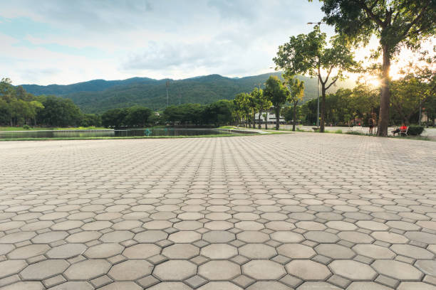 Best Paver Driveway Replacement  in Lumberton, TX